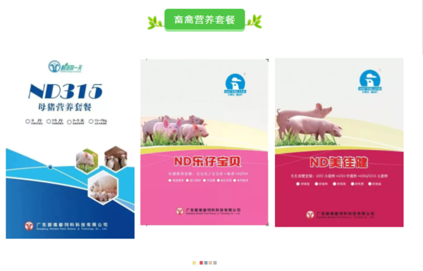 新南都